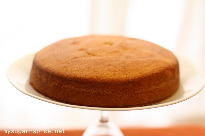 Southern (Manhattan) Coconut Cake without Frosting